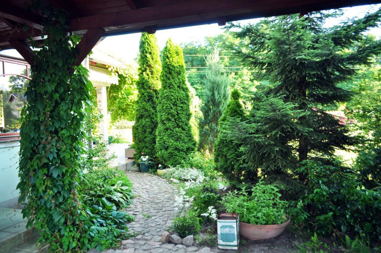 Apartamenty Zielona Góra Exterior foto